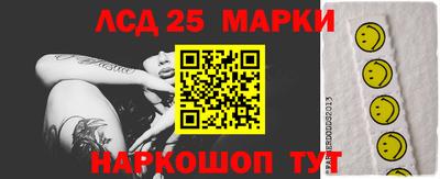 PSILOCYBIN Пугачёв